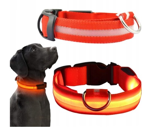 obroża led 55cm pomarańczowa.jpg