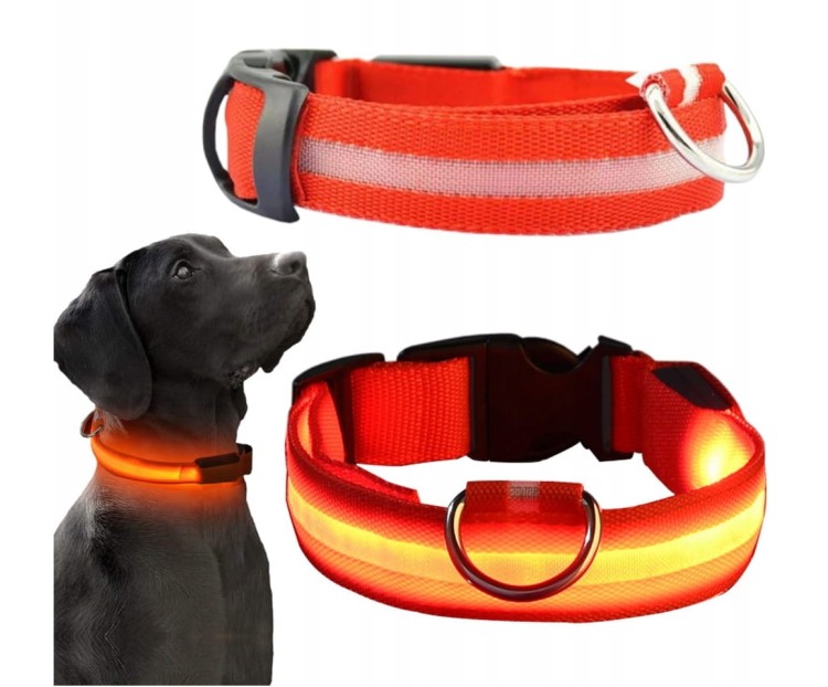 obroża led 55cm pomarańczowa.jpg