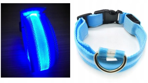 obroża led 47cm niebieska.jpg