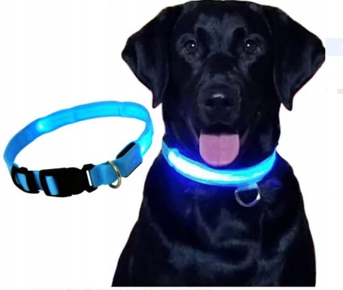 obroża led 47cm niebieska 3.jpg