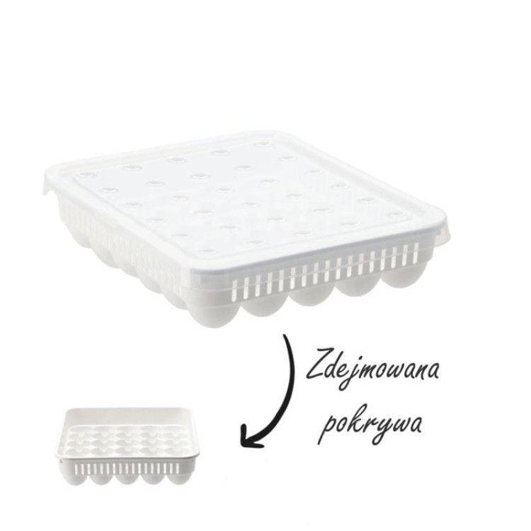 pojemnik na jajka 30sztuk hob021053.jpg