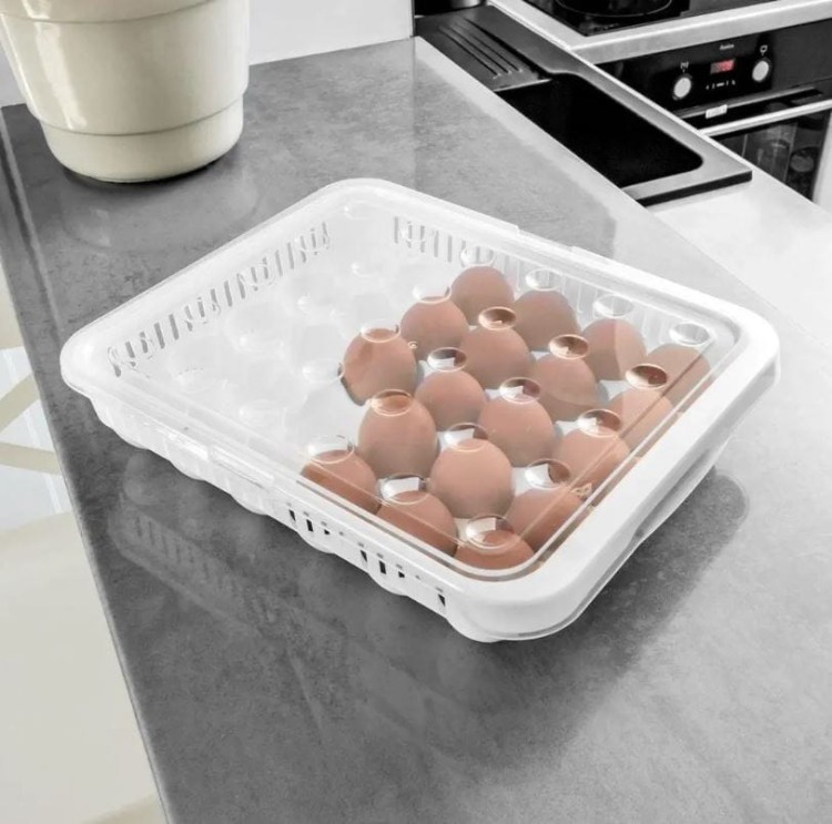 pojemnik na jajka 30sztuk hob021053 b.jpg