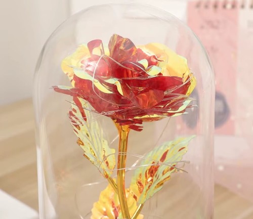 róża w szkle Sn55831 b.jpg