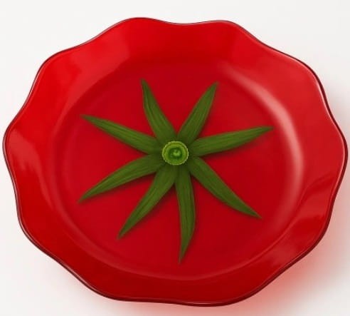 misa pomidor 3801.jpg