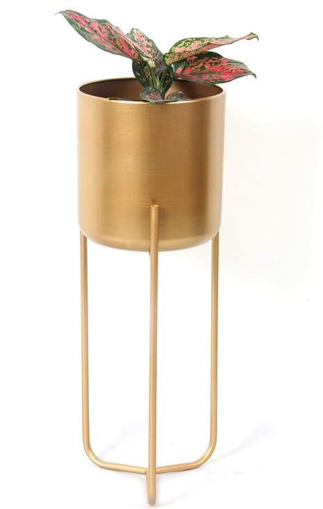 kwietnik_swen_8265.jpg