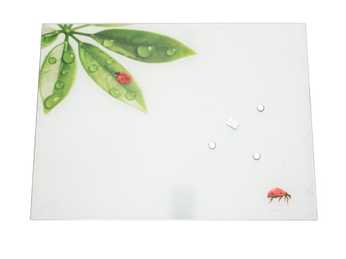 Tablica szklana Biedronka 1